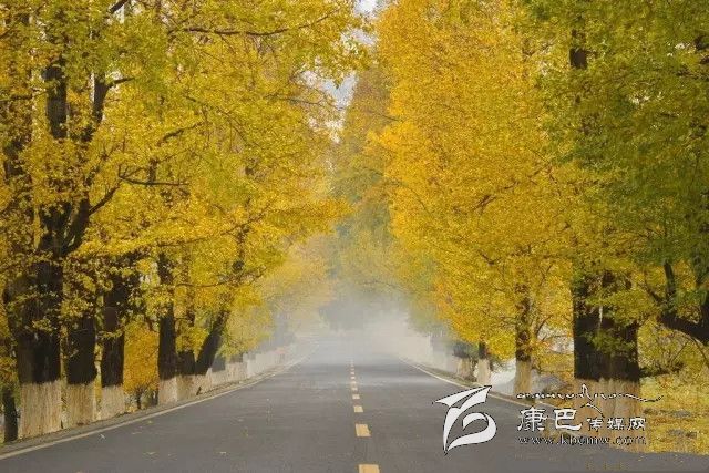 康定新都橋，有一條黃金大道通往夢中的天堂