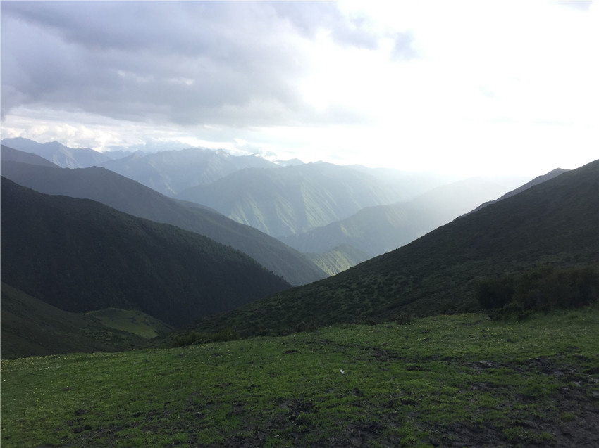 牧場遠(yuǎn)眺。.jpg