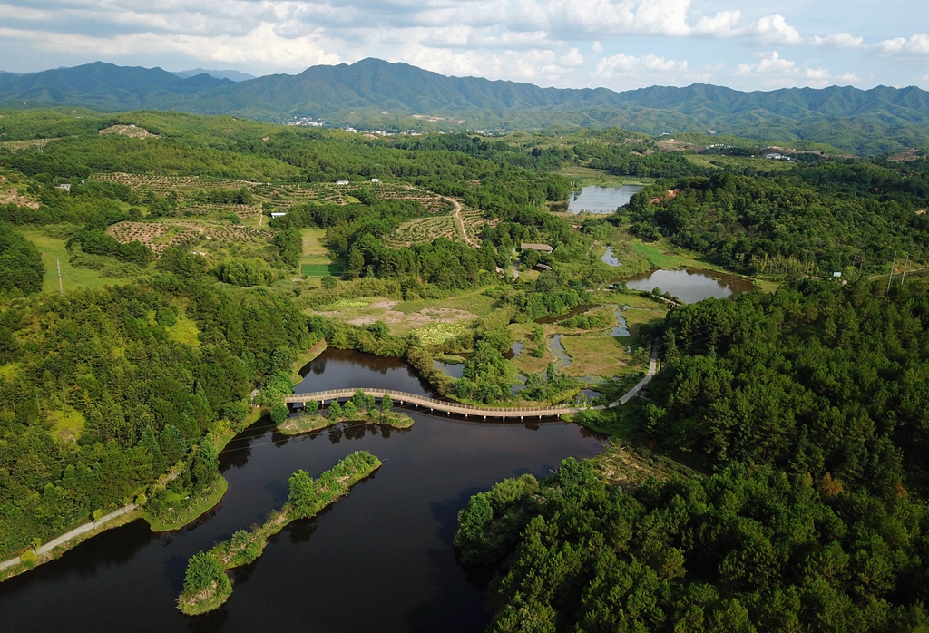福建省龍巖市長汀縣的長汀汀江國家濕地公園景色（2020年7月28日攝，無人機照片）。新華社記者 魏培全 攝