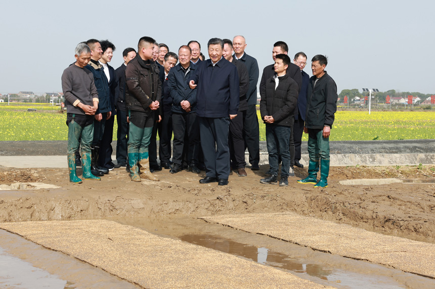 2024年3月18日至21日，中共中央總書記、國(guó)家主席、中央軍委主席習(xí)近平在湖南考察。這是19日下午，習(xí)近平在常德市鼎城區(qū)謝家鋪鎮(zhèn)港中坪村走進(jìn)田間，察看秧苗培育和春耕備耕進(jìn)展。新華社記者 王曄 攝